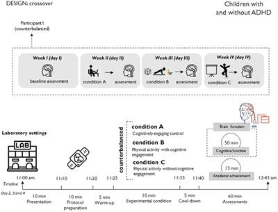 Effects of active breaks on educational achievement in children with and without ADHD: study protocol and rationale of the Break4Brain project